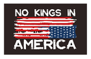 No Kings In America USA 3'X5' Flag ROUGH TEX® 68D