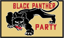 Black Panther Party 3'X5' Flag ROUGH TEX® 100D