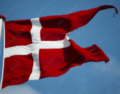 Denmark Swallowtail 3'x6' Flag ROUGH TEX® Cotton