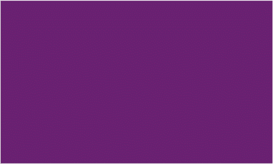 Purple 3'X5' Flag ROUGH TEX® 100D