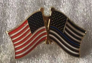 USA & USA Blue Line Friendship Lapel Pin