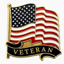 USA Veteran American Flag Wavy Lapel Pin