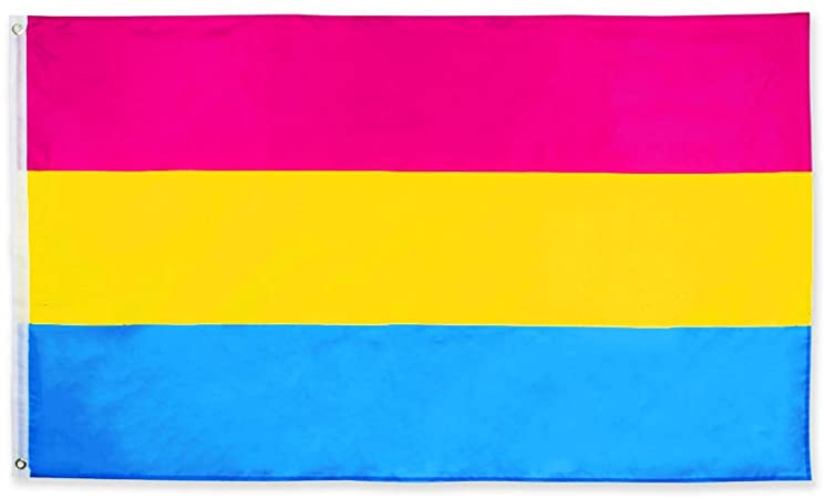 Pansexual 4'x6' Flag Rough Tex ® 150D Pride