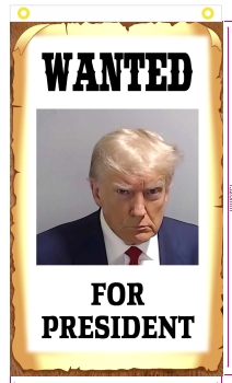 Wanted For President Trump Mugshot 3'X5' Flag ROUGH TEX® 100D with Sleeve & Grommets