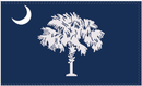 South Carolina 3'X5' Flag ROUGH TEX® 100D