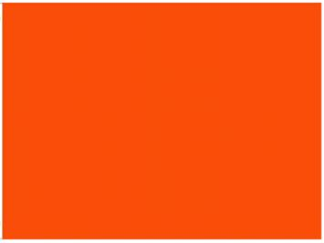 Orange 2'x3' Flag ROUGH TEX® 100D