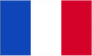 France 12"x18" Stick Flag ROUGH TEX® 100D 30" Wooden Staff