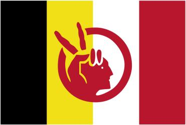 American Indian Movement 3'x5' Flag ROUGH TEX® 100D
