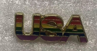 USA Rainbow Lapel Pin