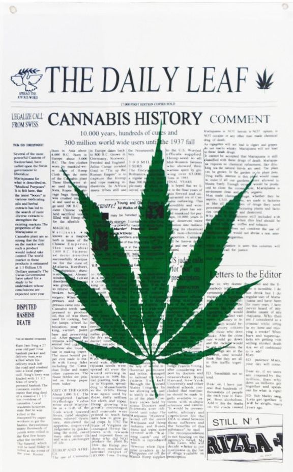 The Daily Leaf Cannabis 3'X5' Flag ROUGH TEX® 100D