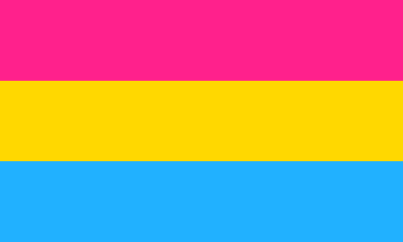 Pansexual Rainbow 12"x18" Stick Flags Pride Parade