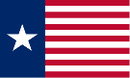 Texas Navy Association 3'X5' Flag ROUGH TEX® 100D