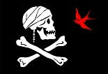 Jack Sparrow Pirate 2'x3' Flag ROUGH TEX® 100D