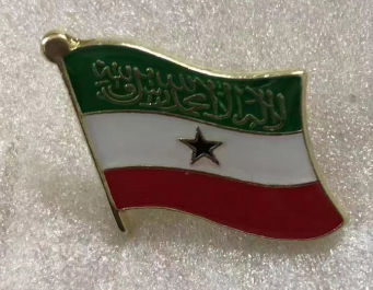 Somaliland Wavy Lapel Pin