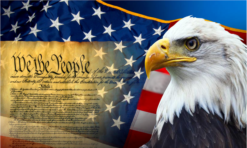 We The People USA Eagle 3'X5' Flag ROUGH TEX® 100D