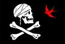 Jack Sparrow Pirate 12"x18" Flag ROUGH TEX® 100D With Grommets