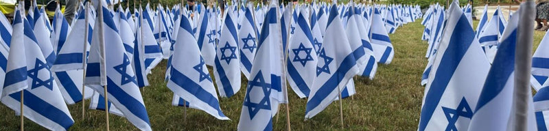 Israel 12x8 Inches Stick Flags Gold Spear Sewn Edges Outdoor Quality Israeli