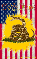 Gadsden We The People USA Live Rattlesnake 12"x18" 100D ROUGH TEX® Double Sided Garden Flag