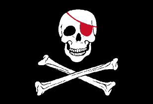 Jolly Roger Red Eye Patch 12"x18" Double Sided Flag With Grommets ROUGH TEX® Knit Nylon