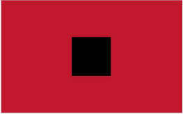 Hurricane 12"x18" Double Sided Flag With Grommets ROUGH TEX® 100D