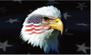 American Eagle USA 3'X5' Flag ROUGH TEX® 100D