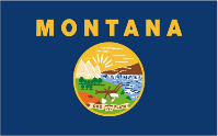 Montana 3'x5' Flag ROUGH TEX® 100D