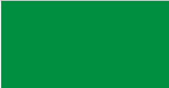 Green 12"x18" Stick Flag ROUGH TEX® 100D 30" Wooden Stick