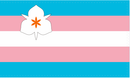 Transgender Visibility Salt Lake City 3'x5' Flag ROUGH TEX® 100D
