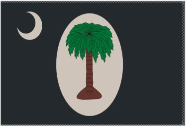 South Carolina Two Day 3'x5' Flag ROUGH TEX® 100D