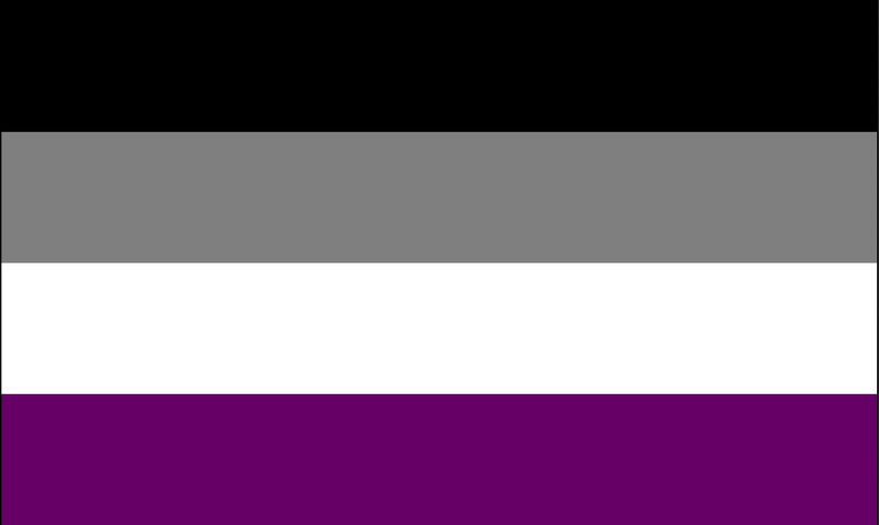 Asexual Rainbow 12"x18" Stick Flags Pride Parade