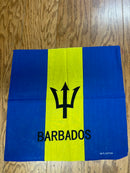 Barbados 22"x22" Cotton Bandana