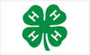 4H Clover 3'x5' Flag ROUGH TEX® 100D
