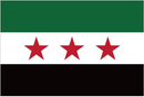 Syria Revolution 4'x6' Flag Rough Tex® 100D
