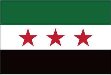 Syria Revolution 4'x6' Flag Rough Tex® 100D