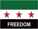 Syria Freedom 12"x18" 100D ROUGH TEX® Double Sided Flag with Grommets
