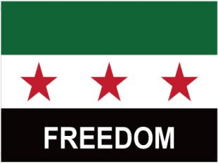 Syria Freedom 12"x18" 100D ROUGH TEX® Double Sided Flag with Grommets