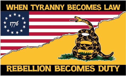 Betsy Ross Gadsden When Tyranny Becomes Law Rebellion Becomes Duty 3'X5' Flag ROUGH TEX® 100D