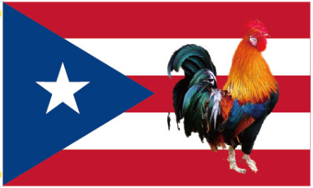 Puerto Rico Cock 3'X5' Flag ROUGH TEX® 100D Rooster Puerto Rican