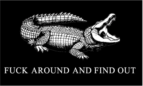 Fuck Around And Find Out 3'X5' Flag ROUGH TEX® 100D