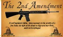 2nd Amendment Parchment 3'X5' Flag ROUGH TEX® 100D