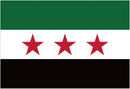 Syrian Revolutionary 2'x3' Flag ROUGH TEX® 100D