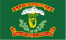 Irish Brigade 3rd Volunteer Infantry New York 69th Regiment Union 3'x5' Flag ROUGH TEX® 100D