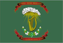 4th & 28th Irish Massachusetts 3'x5' Flag ROUGH TEX® 100D