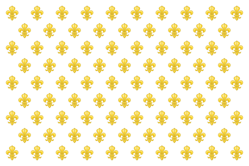 Kingdom of France 3'X5' Embroidered Flag ROUGH TEX® 600D in Gift Box