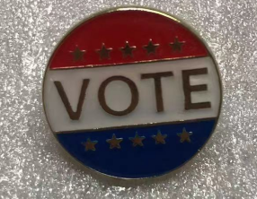 Vote Round Lapel Pin