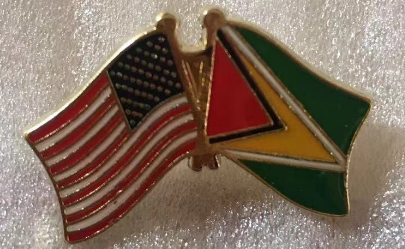 USA & Guyana Lapel Pin