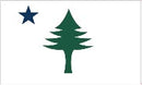 1901 Maine Proposed 3'X5' Flag ROUGH TEX® 100D