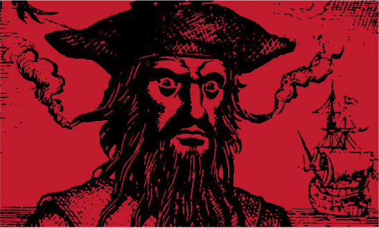 Blackbeard Red 3'X5' Flag ROUGH TEX® 100D