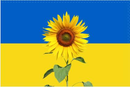 Ukraine Sunflower 3'x5' Flag ROUGH TEX® 100D