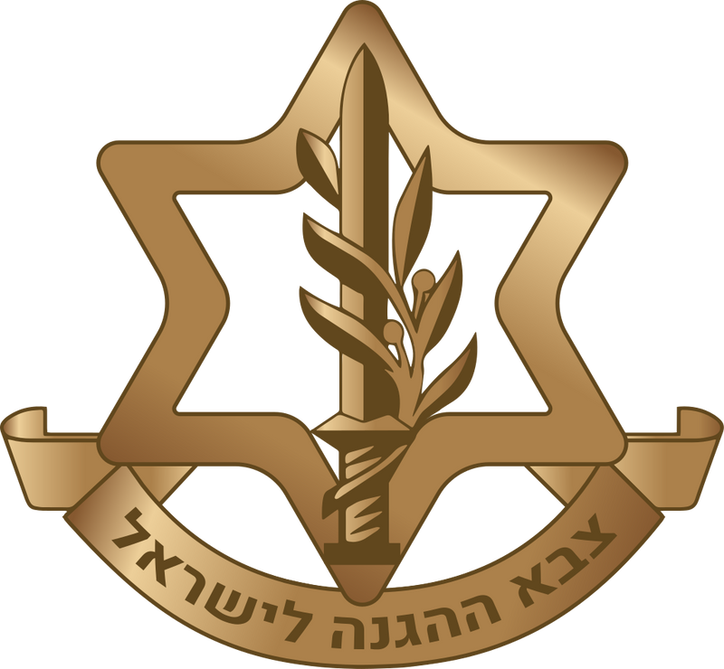 IDF Israel Defense Forces Crest Pin Israeli Military Yamam Shin Bet Badge